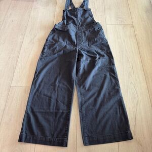 Patagonia Women's Stand Up Cropped Overalls size 6
